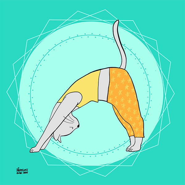 Yoga animals - cat